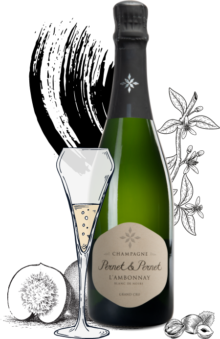 Champagne Pernet & Pernet - Ambonnay Blanc de Noirs
